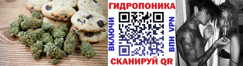 Печенье с ТГК конопля блэк спрут зеркало Облучье