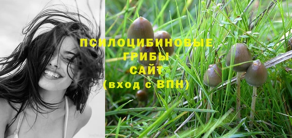 прущая мука Гусев