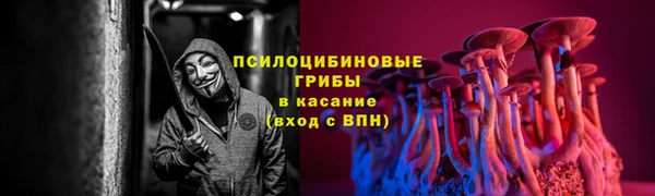 мяу мяу мука Дмитровск