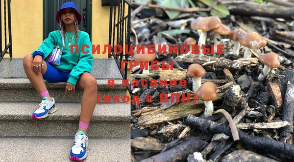 кокс Гусь-Хрустальный