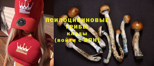 экстази Дмитров