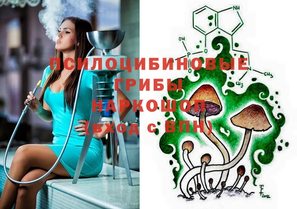 COCAINE Гусиноозёрск