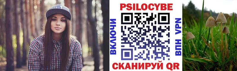 Галлюциногенные грибы Psilocybine cubensis  Облучье 