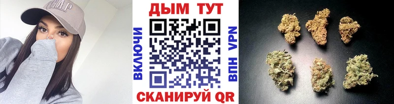 где купить   Облучье  Шишки марихуана Ganja 